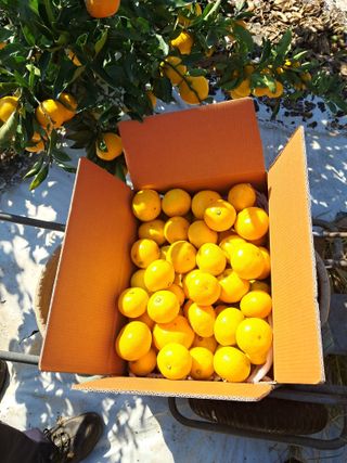 알 수 없음님의 작성글 사진