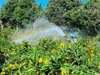 알 수 없음님의 작성글 사진