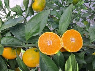 알 수 없음님의 작성글 사진