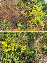 팜모닝 자유주제·자유게시판 게시글 이미지