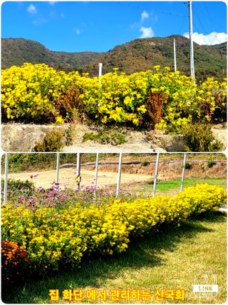 조용길님의 자유주제 · 자유게시판 작성글 사진