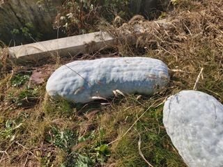 알 수 없음님의 오늘 어떤 농작업하셨나요? · 참여글 작성글 사진