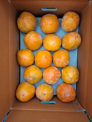 경원님의 작성글 사진