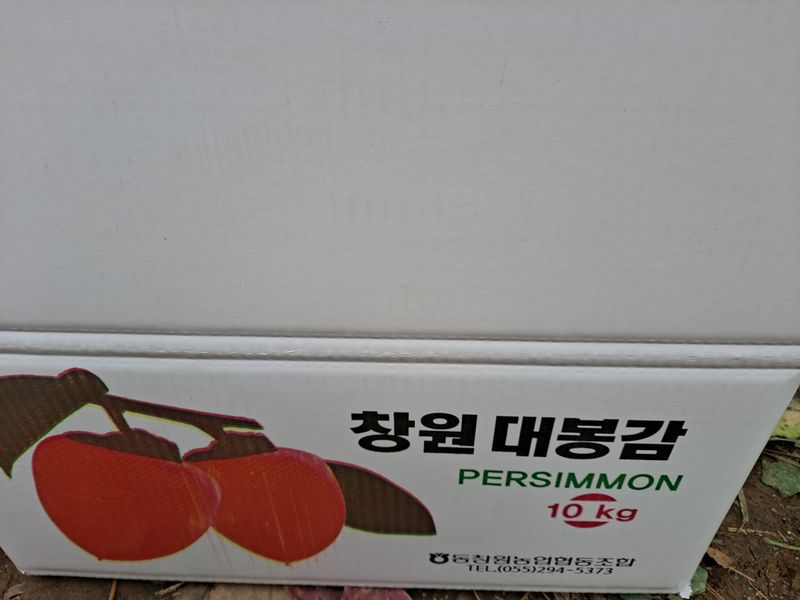 경원님의 장터 판매 상품 [대봉감10키로 대. ] 첨부 사진