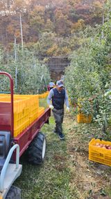 팜모닝 오늘 어떤 농작업하셨나요?·참여글 게시글 이미지