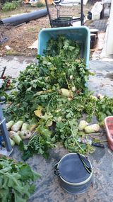 팜모닝 자유주제·자유게시판 게시글 이미지