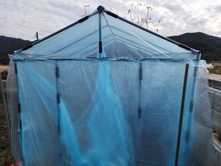 조효성님의 오늘 어떤 농작업하셨나요? · 참여글 작성글 사진