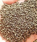 팜모닝 · 게시글 이미지