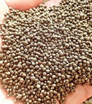 장만월님의 작성글 사진