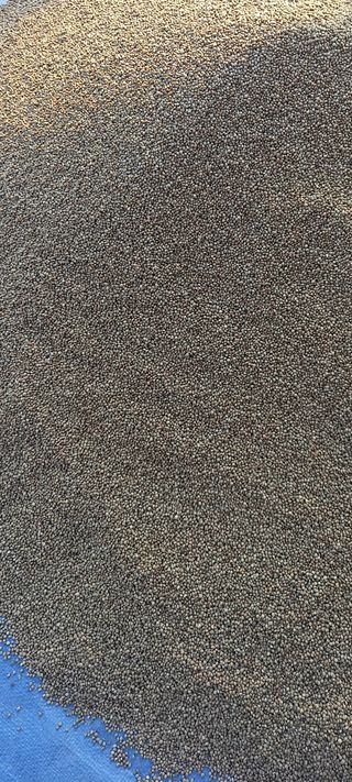 장만월님의 작성글 사진