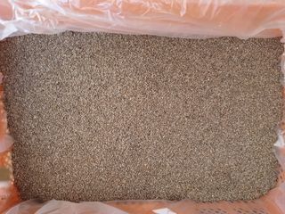 주재순님의 오늘 어떤 농작업하셨나요? · 참여글 작성글 사진