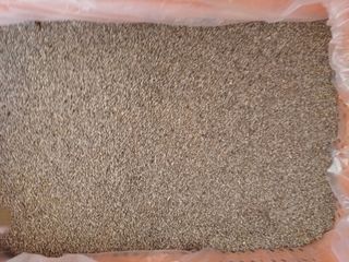 주재순님의 오늘 어떤 농작업하셨나요? · 참여글 작성글 사진