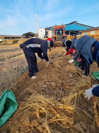모두팜님의 오늘 어떤 농작업하셨나요? · 참여글 작성글 사진