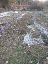 팜모닝 자유주제·자유게시판 게시글 이미지