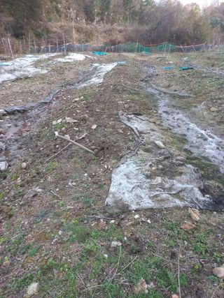 성낙신 님의 자유주제 · 자유게시판 작성글 사진