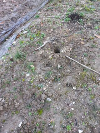 성낙신 님의 자유주제 · 자유게시판 작성글 사진