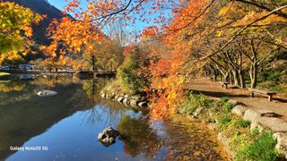 제주농부님의 자유주제 · 자유게시판 작성글 사진
