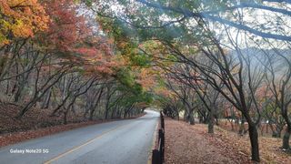 제주농부님의 자유주제 · 자유게시판 작성글 사진