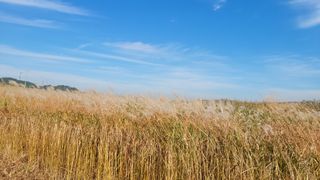 제주농부님의 자유주제 · 자유게시판 작성글 사진