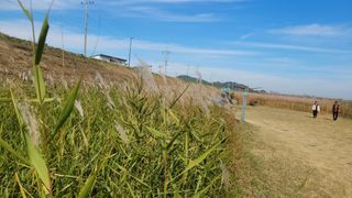 제주농부님의 자유주제 · 자유게시판 작성글 사진