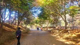 제주농부님의 자유주제 · 자유게시판 작성글 사진