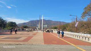 제주농부님의 자유주제 · 자유게시판 작성글 사진