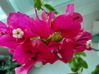 이미옥님의 벼 · 영농일지 작성글 사진