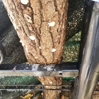 장유경만점자님의 오늘 어떤 농작업하셨나요? · 참여글 작성글 사진