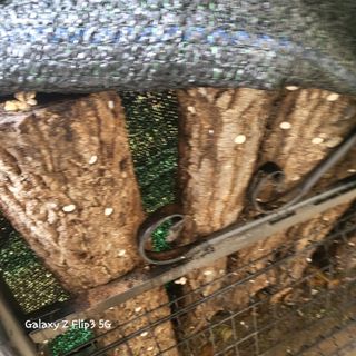 장유경만점자님의 오늘 어떤 농작업하셨나요? · 참여글 작성글 사진