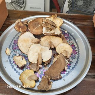 장유경만점자님의 오늘 어떤 농작업하셨나요? · 참여글 작성글 사진