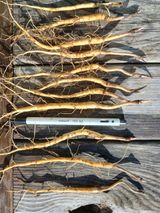 팜모닝 자유주제·자유게시판 게시글 이미지