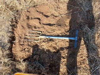 이호성님의 자유주제 · 자유게시판 작성글 사진