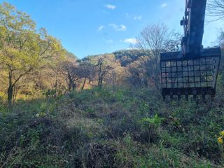 이호성님의 자유주제 · 자유게시판 작성글 사진