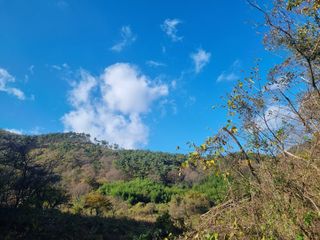 이호성님의 자유주제 · 자유게시판 작성글 사진