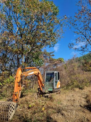 이호성님의 자유주제 · 자유게시판 작성글 사진
