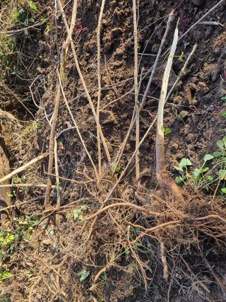 이호성님의 자유주제 · 자유게시판 작성글 사진