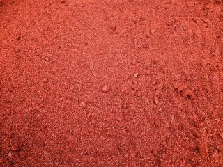 송경희님의 작성글 사진