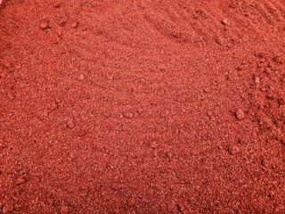 송경희님의 작성글 사진