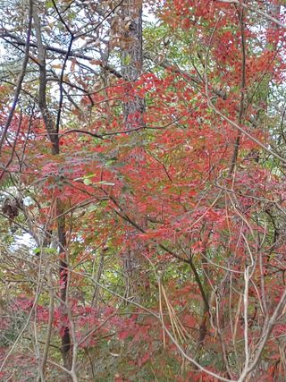 이현상님의 자유주제 · 자유게시판 작성글 사진