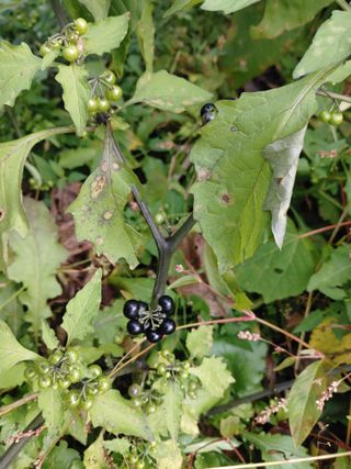이현상님의 자유주제 · 자유게시판 작성글 사진