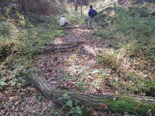이현상님의 자유주제 · 자유게시판 작성글 사진