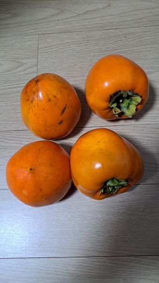 주윤발이님의 감 · 자유게시판 작성글 사진