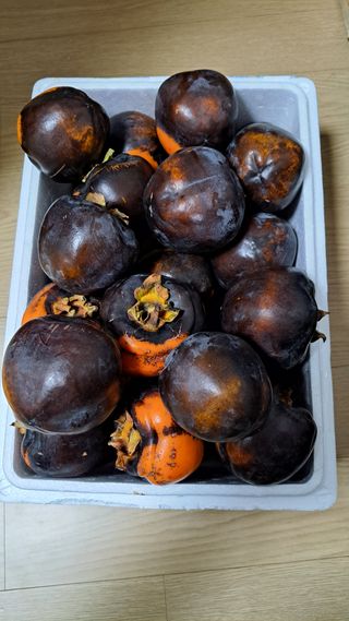 주윤발이님의 감 · 자유게시판 작성글 사진