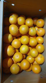 팜모닝 오늘 어떤 농작업하셨나요?·참여글 게시글 이미지