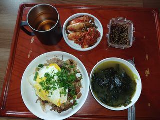 이상애초보농업님의 배추 · 일상 작성글 사진