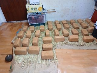 최병태님의 오늘 어떤 농작업하셨나요? · 참여글 작성글 사진