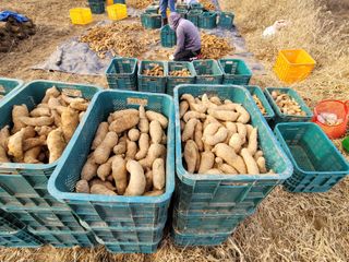 여우내 이순홍님의 기타작물 · 자유게시판 작성글 사진