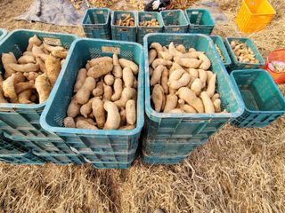 여우내 이순홍님의 기타작물 · 자유게시판 작성글 사진