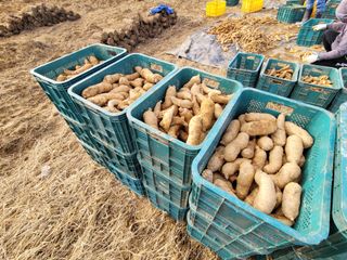 여우내 이순홍님의 기타작물 · 자유게시판 작성글 사진