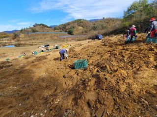 여우내 이순홍님의 기타작물 · 자유게시판 작성글 사진